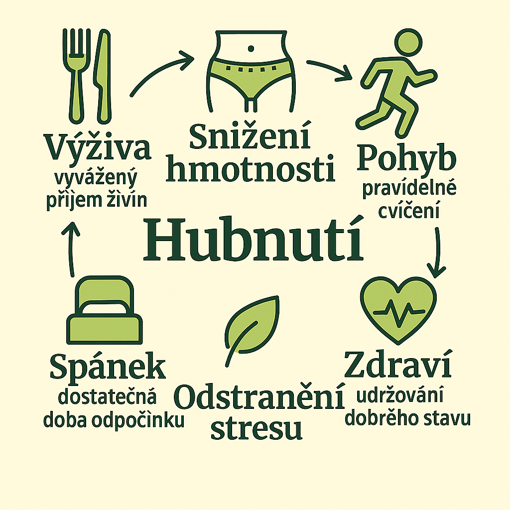 Hubnutí